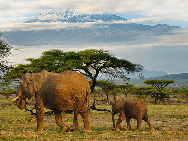 Kenya – the wild and untamed country